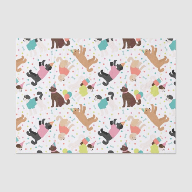 Labradoodle / Goldendoodle Geburtstagsparty Seidenpapier (Vorderseite)