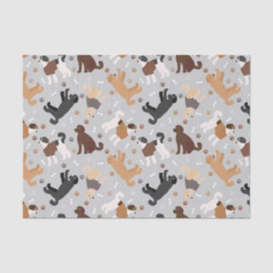 Labradoodle/Goldendoodle Knochen und Paare Seidenpapier