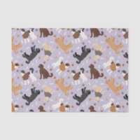 Labradoodle/Goldendoodle Knochen und Paare