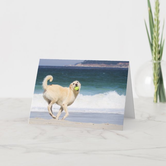 Labradoodle - Happy Day on Beach Karte (Vorderseite)