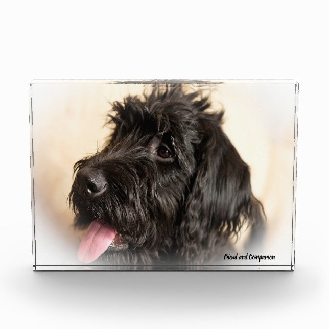 Labradoodle Hund. Fotoblock (Vorderseite)