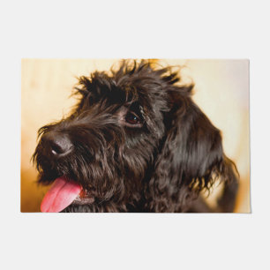 Labradoodle-Hund. Fußmatte