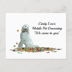 Labradoodle Hund in Blätter Postkarte