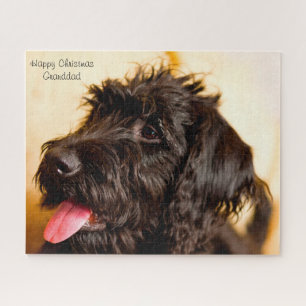 Labradoodle Hund. Puzzle