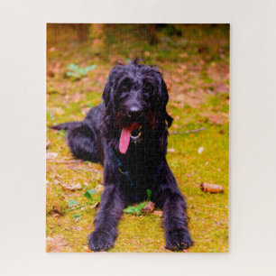 Labradoodle Hund. Puzzle