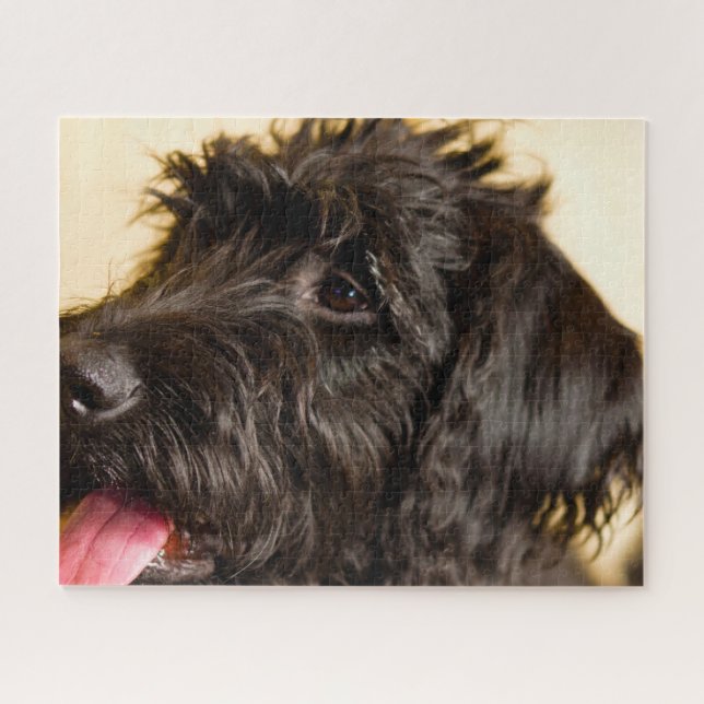 Labradoodle Hund. Puzzle (Horizontal)