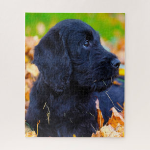 Labradoodle Hund. Puzzle