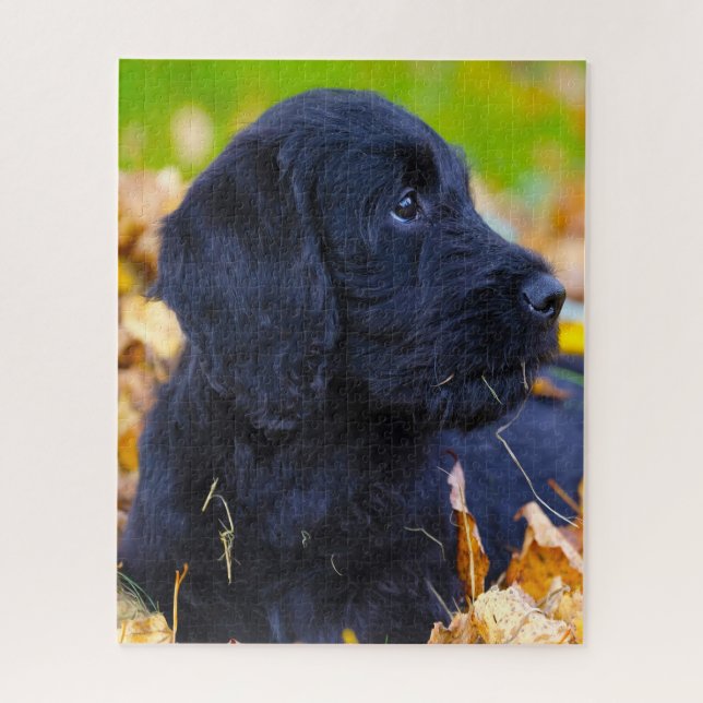 Labradoodle Hund. Puzzle (Vertikal)