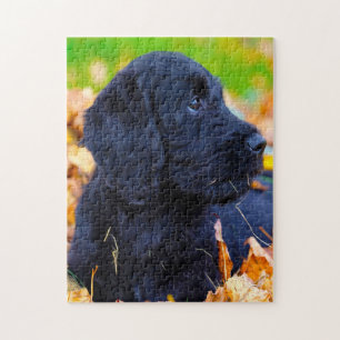 Labradoodle Hund. Puzzle