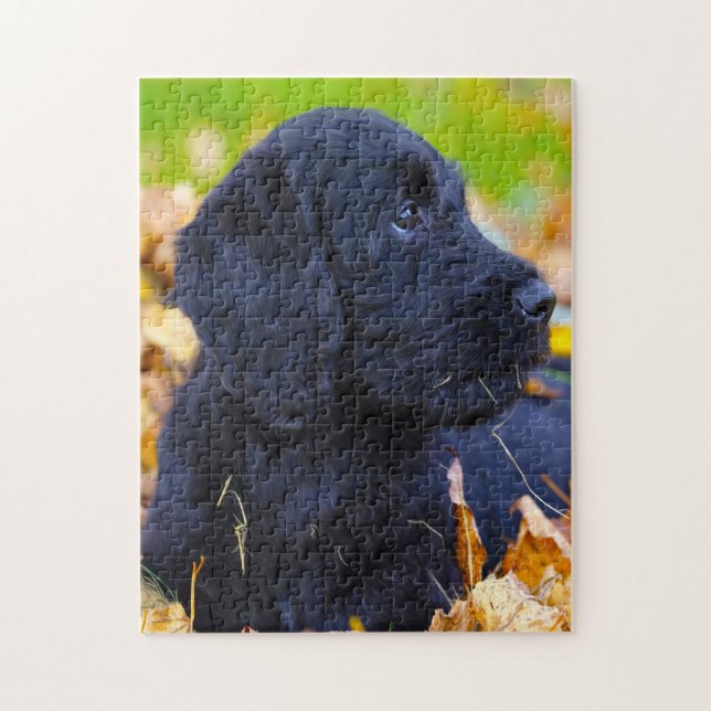 Labradoodle Hund. Puzzle (Vertikal)