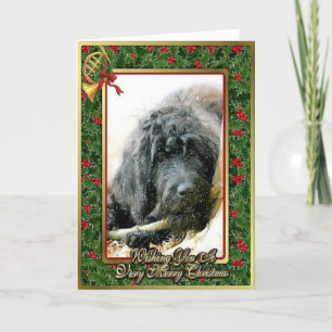 Labradoodle Hunderaum-Weihnachtskarte Feiertagskarte