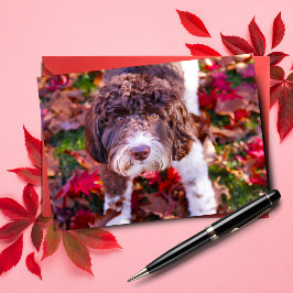 Labradoodle im Herbst Karte