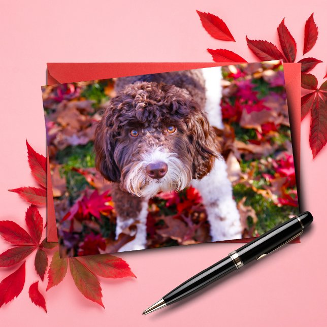 Labradoodle im Herbst Karte (Send autumn cheer with Duke the Labradoodle note card.)