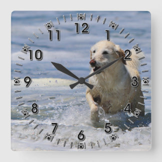 Labradoodle - Izzie Quadratische Wanduhr