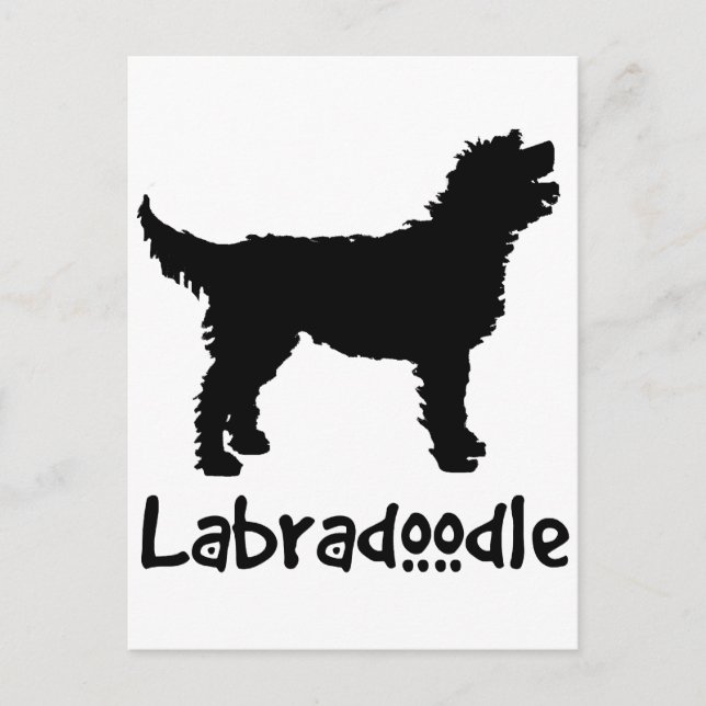 Labradoodle mit/Cooler Text Postkarte (Vorderseite)