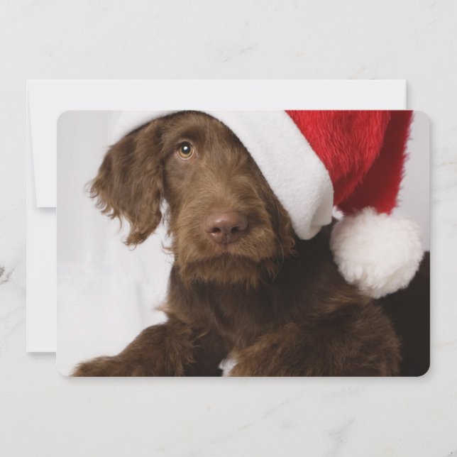 Labradoodle mit einer Weihnachtsmannmütze Feiertagskarte (Vorderseite)