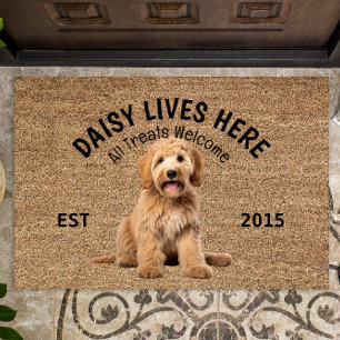 Labradoodle Personalisiert Hund Lover Doormat Fußmatte