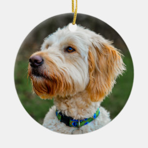 Labradoodle Puppy Dog Keramik Ornament