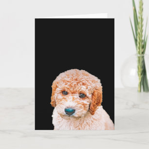 Labradoodle Puppy Karte