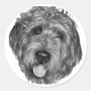 Labradoodle Runder Aufkleber