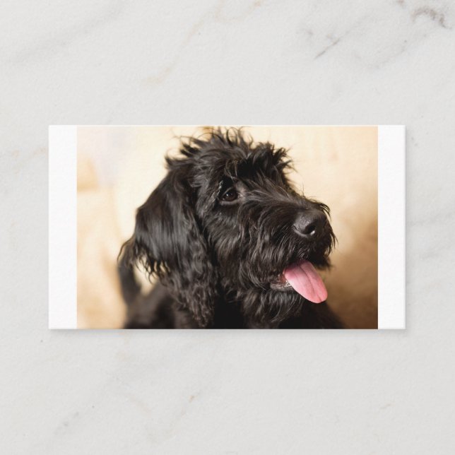 Labradoodle Standard, 3,5" x 2,0" Platzkarte (Vorderseite)