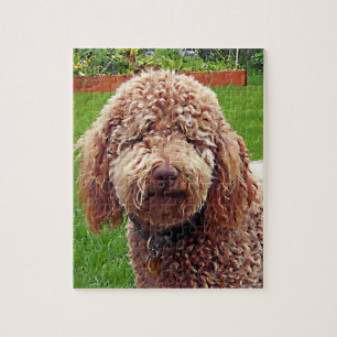 Labradoodle "Stella" Puzzlespiel Puzzle