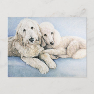 Labradoodle und Standard Poodle Dog Art Postkarte