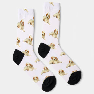 Labradoodle-Welpe Hund Socken