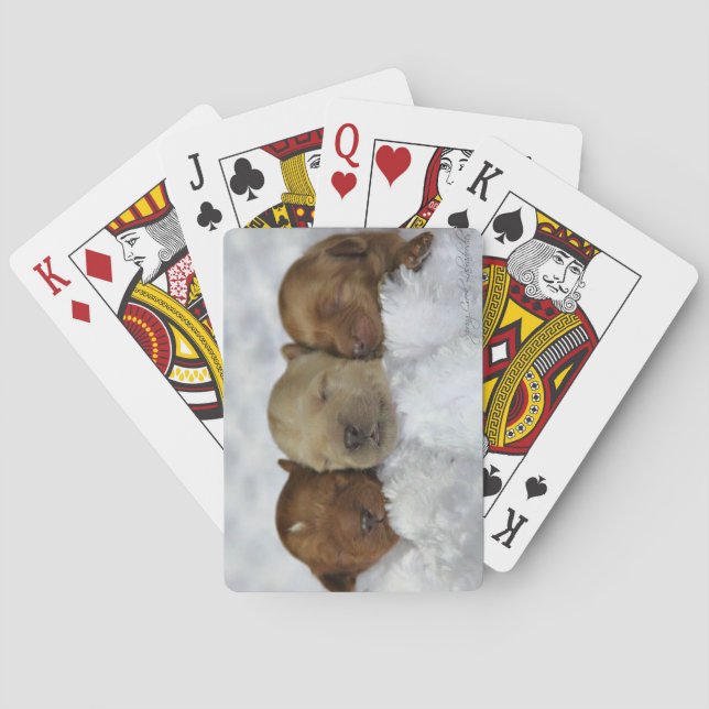 Labradoodle Welpen-Spielkarten Spielkarten (Rückseite)