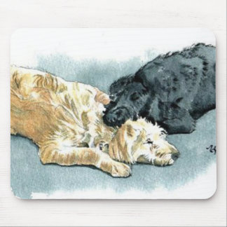 Labradoodles in der Liebe Mousepad