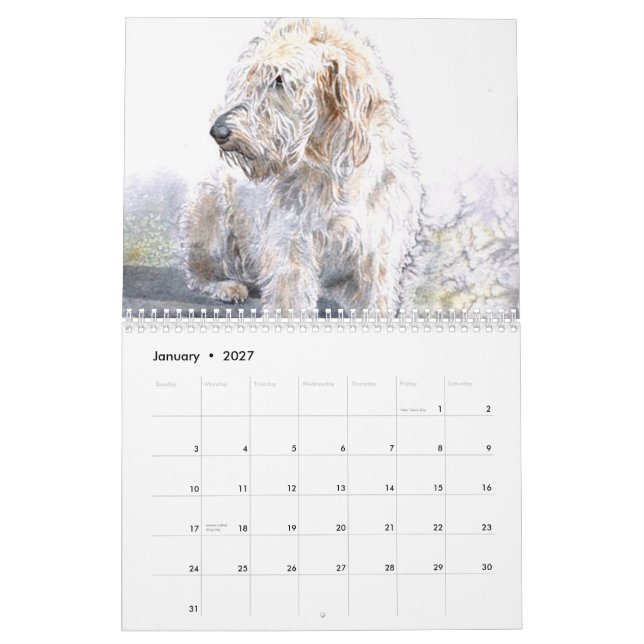 Labradoodles Kalender (Jan 2027)