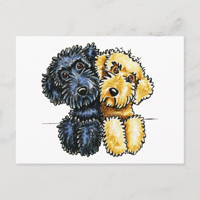 Labradoodles Schwarz Gelb verschraubt Postkarte (Vorderseite)