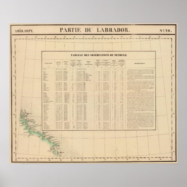 Labrador 29 poster (Vorne)