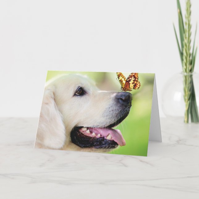Labrador And Butterfly Throw Pillow Einladung (Vorderseite)