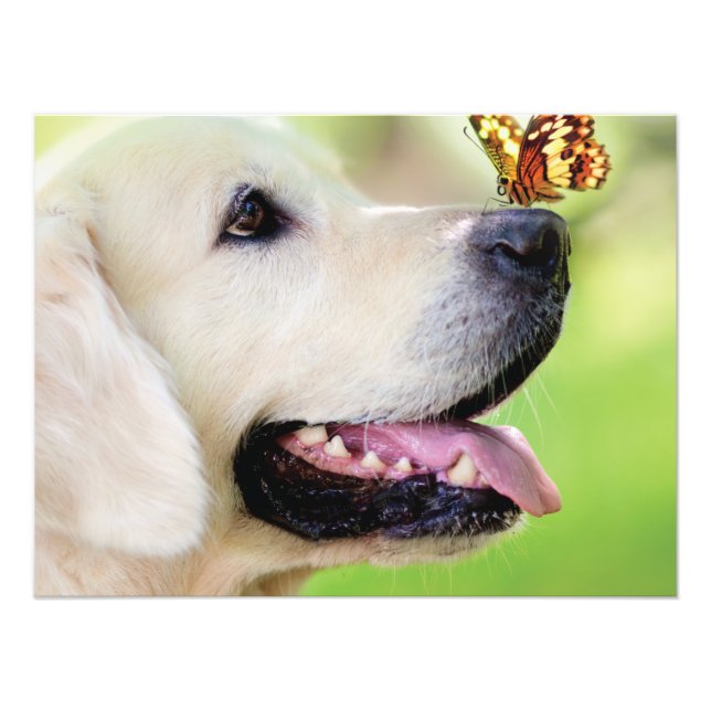 Labrador And Butterfly Throw Pillow Fotodruck (Vorne)