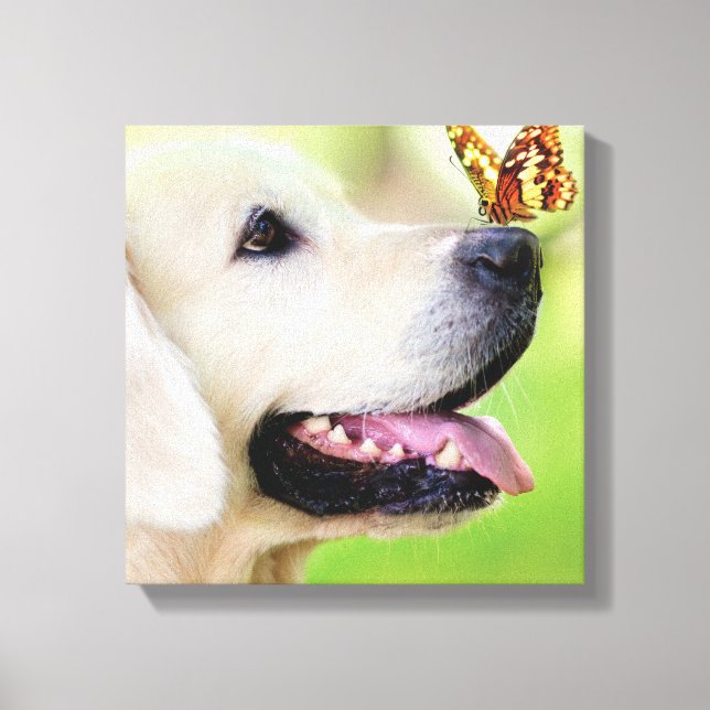 Labrador And Butterfly Throw Pillow Leinwanddruck (Vorderseite)
