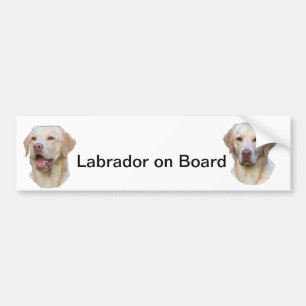 Labrador-Autoaufkleber Autoaufkleber