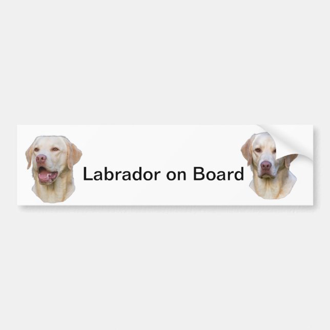 Labrador-Autoaufkleber Autoaufkleber (Vorne)