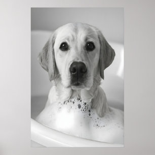 Labrador Badewannen-Bad Druck, Lustige Hunde-Badez Poster