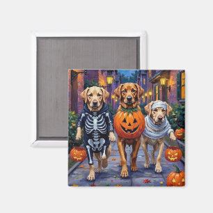 Labrador beim Süßigkeitenbetteln in Halloween-Kost Magnet