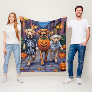 Labrador beim Trick-or-Treat in Halloween-Kostümen Fleecedecke