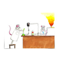 Labrador bewertet: "Das hast du getan!" Glückwunsc