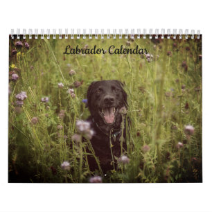 Labrador Custom Year Calendar Kalender