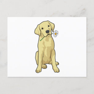 Labrador Daisy Postkarte