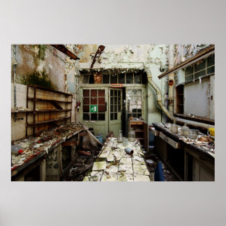 Labrador Decay Poster