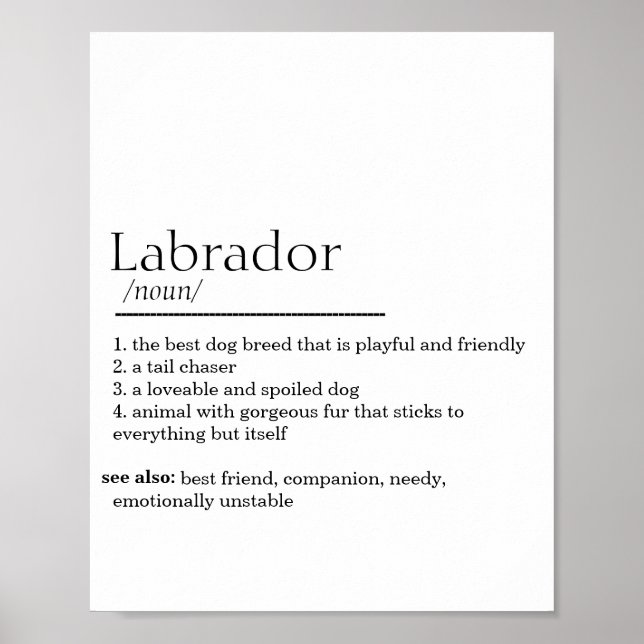 Labrador Definition Poster (Vorne)
