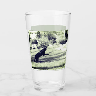 Labrador, der ein frisches Bier-Glas fängt Glas