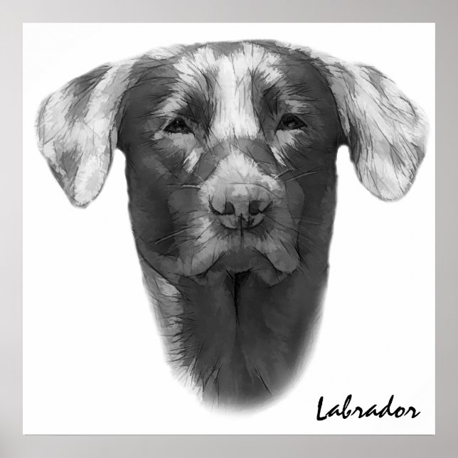 Labrador Dog Classic Poster (Vorne)