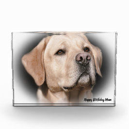 Labrador Dog Fotoblock