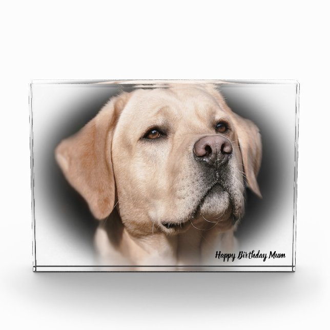 Labrador Dog Fotoblock (Vorderseite)